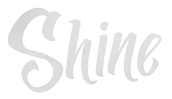 Shine the 2nd Salon logo